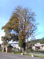 IMG_20151008_083411