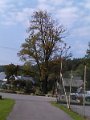 IMG_20151008_105707
