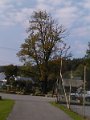 IMG_20151008_105710