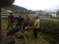 IMG_20151008_161751