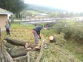 IMG_20151008_161846