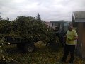 IMG_20151008_161916