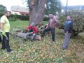 IMG_20151008_162108
