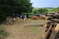 IMG_8344