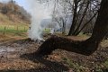 IMG_1219