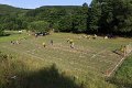IMG_2248