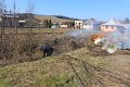 IMG_0754