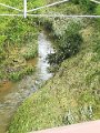 IMG_20170627_081452
