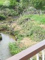 IMG_20170627_081525