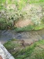 IMG_20170627_081628