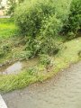 IMG_20170627_084117