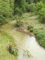 IMG_20170627_084130
