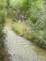 IMG_20170627_084210