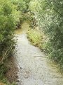IMG_20170627_084328