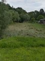 IMG_20170627_084428