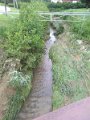 IMG_20170627_085828