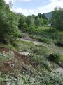 IMG_20170627_105902