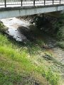IMG_20170627_110837
