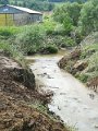 IMG_20170627_111038
