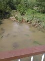 IMG_20170627_144533