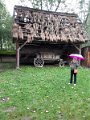 20170923_120933